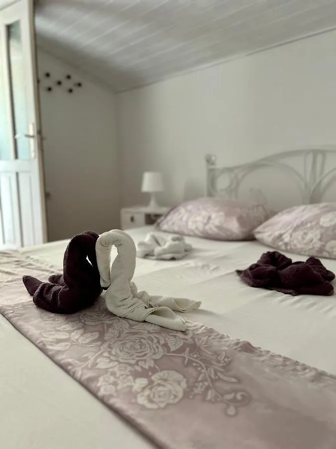 Apartments Tatjana 파그
